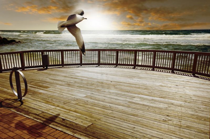 Enhances Outdoor Living Space